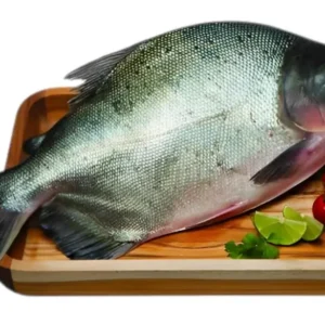 TILAPIA EVISC KG