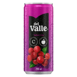 NECTAR DEL VALLE 290ML UVA