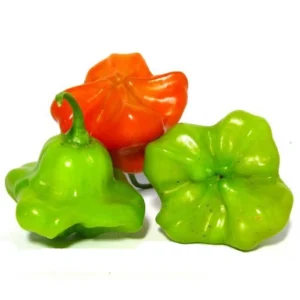 PIMENTA CAMBUCI KG