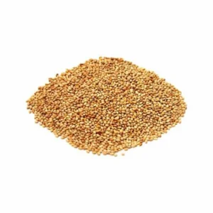 PAINCO SILVA BAHIA 500G