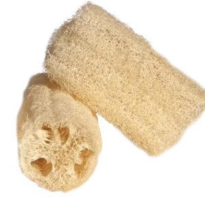 BUCHA VEGETAL JF PEDACO 2UN