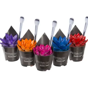FLOR  ECHEVERIA COLOURS P06
