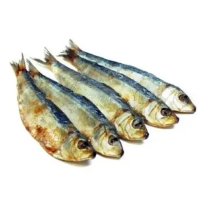 SARDINHA SALGADA KG