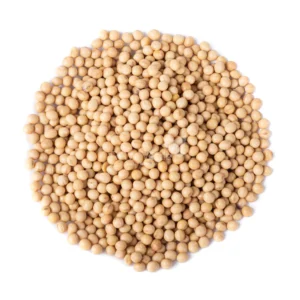 SOJA EM GRAOS PEPOL 500G